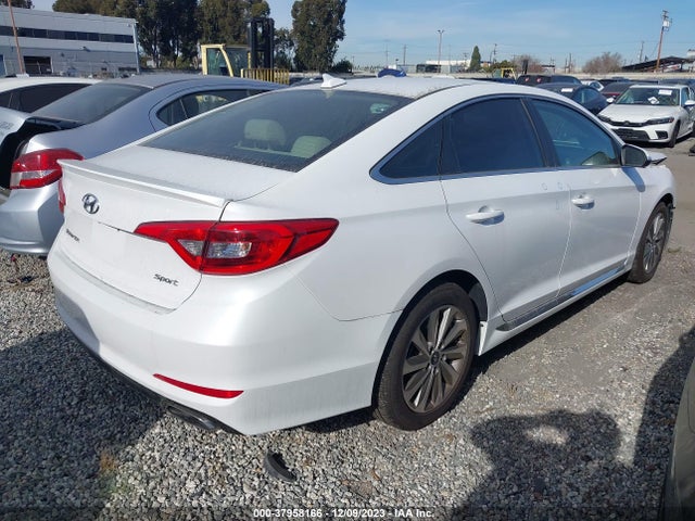 2017 HYUNDAI SONATA SPORT VIN: 5NPE34AF5HH575684
