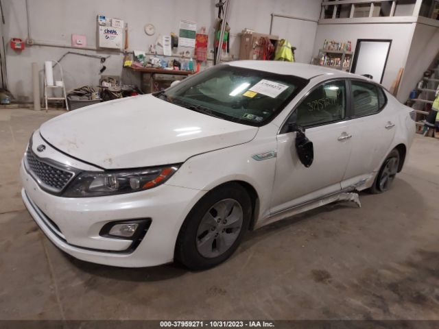 KNAGM4AD4E5075576 KIA Optima Hybrid Lx