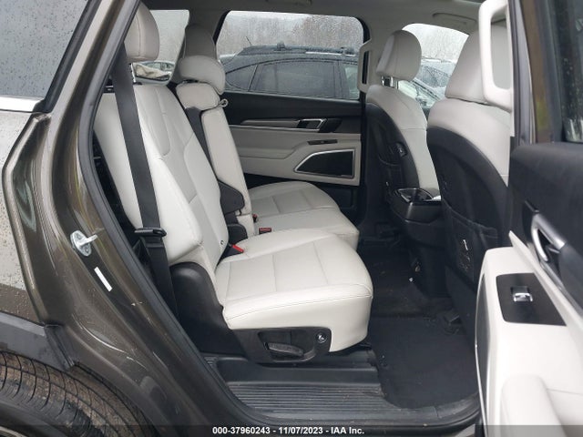 2020 KIA TELLURIDE S VIN: 5XYP6DHC5LG004174