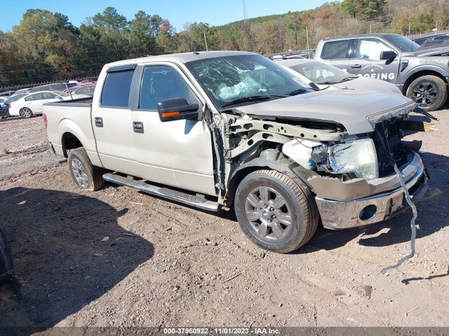 2010 FORD F-150 XLT VIN: 1FTFW1CV9AFD30465