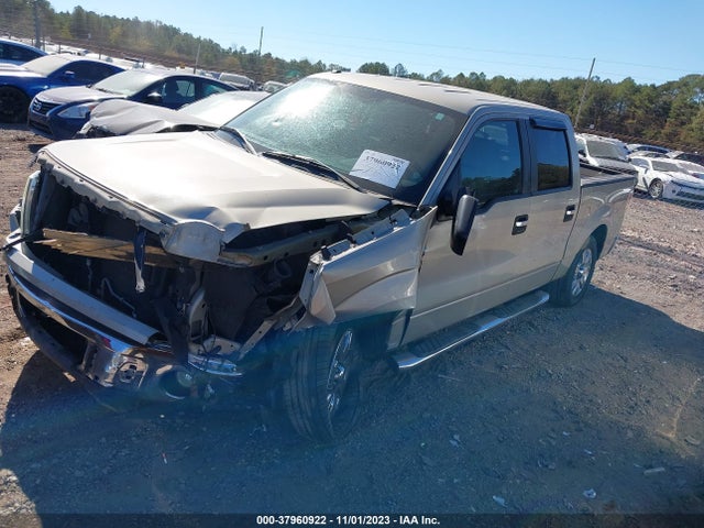 2010 FORD F-150 XLT VIN: 1FTFW1CV9AFD30465