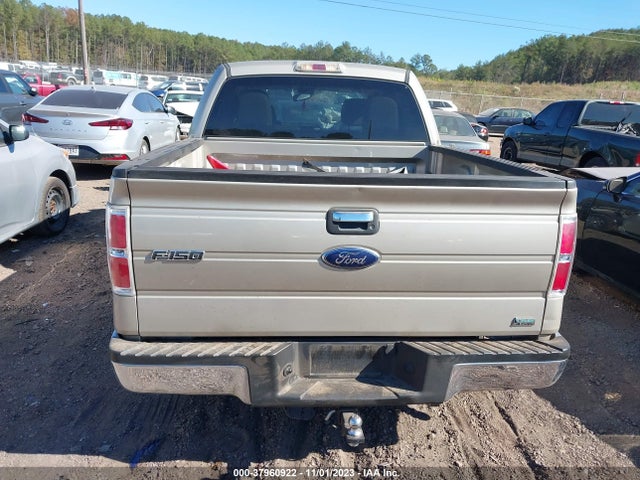 2010 FORD F-150 XLT VIN: 1FTFW1CV9AFD30465