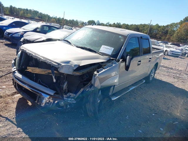 2010 FORD F-150 XLT VIN: 1FTFW1CV9AFD30465
