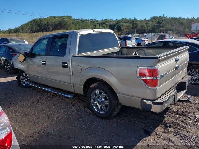 2010 FORD F-150 XLT VIN: 1FTFW1CV9AFD30465