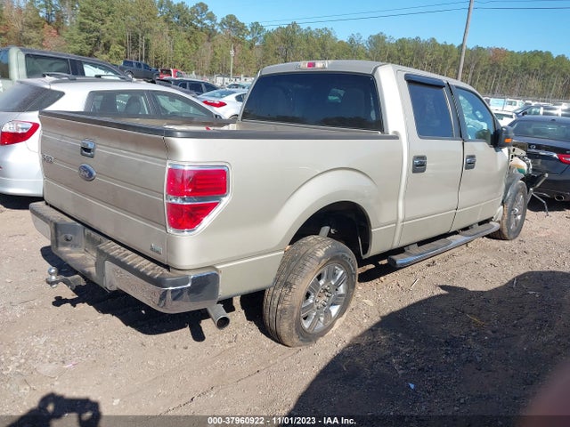 2010 FORD F-150 XLT VIN: 1FTFW1CV9AFD30465