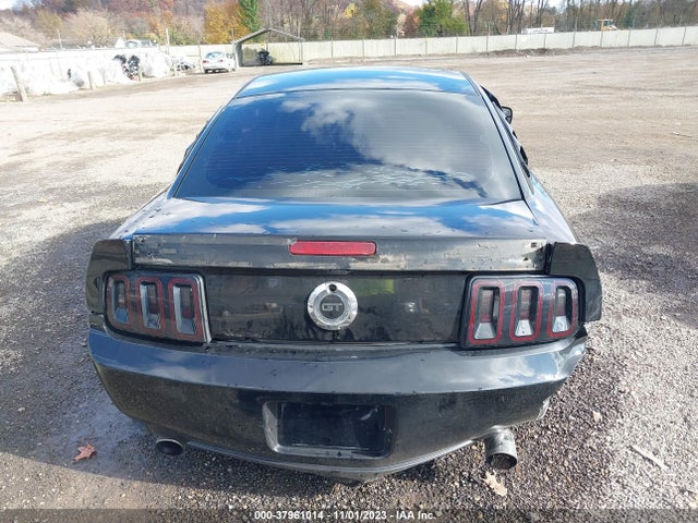 2006 FORD MUSTANG GT VIN: 1ZVFT82HX65217342