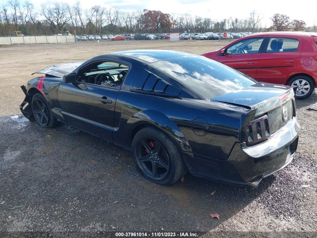2006 FORD MUSTANG GT VIN: 1ZVFT82HX65217342