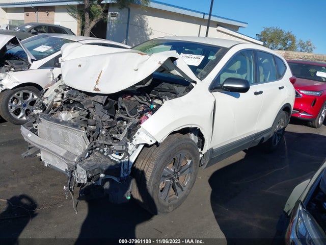 Honda CR-V LX 2017 2HKRW5H38HH400842 Image 2