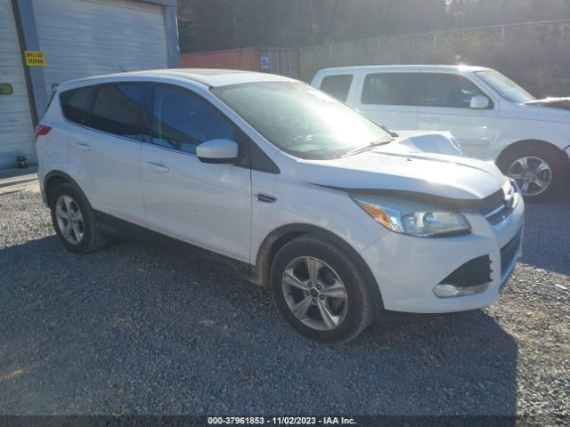 2014 FORD ESCAPE 1FMCU0GX5EUC17253