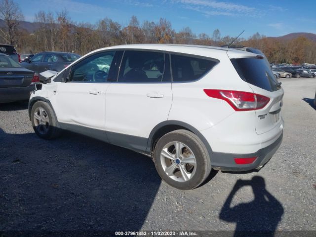2014 FORD ESCAPE 1FMCU0GX5EUC17253 Photo 2