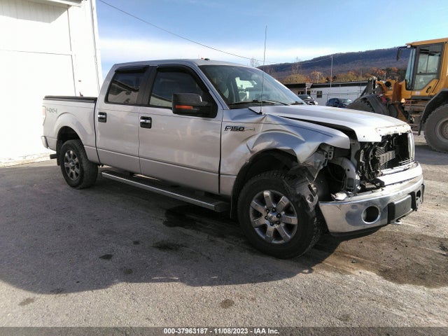 2014 FORD F-150 XLT VIN: 1FTFW1EFXEFB14006