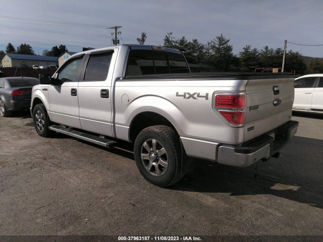 2014 FORD F-150 XLT VIN: 1FTFW1EFXEFB14006