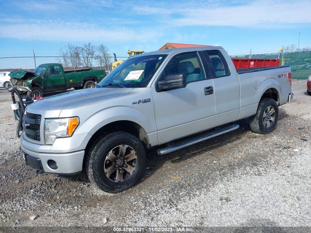 2013 FORD F-150 STX VIN: 1FTFX1EF7DFD25322