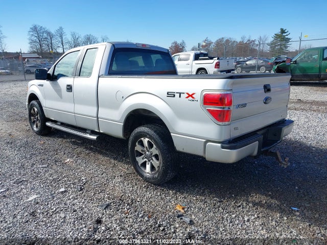2013 FORD F-150 STX VIN: 1FTFX1EF7DFD25322