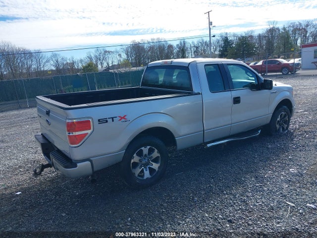 2013 FORD F-150 STX VIN: 1FTFX1EF7DFD25322