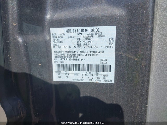 2006 FORD F-150 STX/XL/XLT VIN: 1FTRF12286NB67647