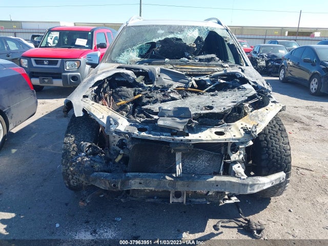 4JGDF6EE3FA502040 Mercedes-Benz Gl 450