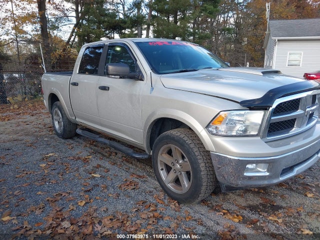 2010 DODGE RAM 1500 SLT/SPORT/TRX VIN: 1D7RV1CT0AS198336