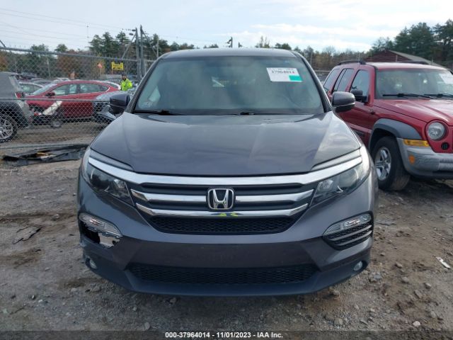 5FNYF5H51JB021859 Honda Pilot Ex-l