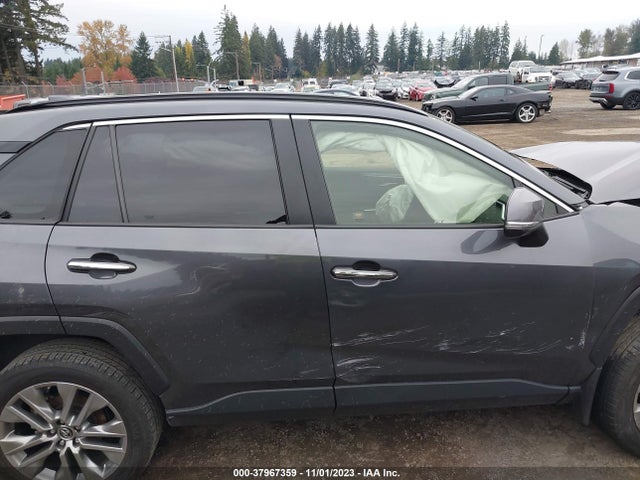 Toyota Rav4 Limited 2019 JTMN1RFV6KD021229 Image 14