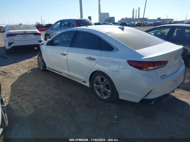 2019 HYUNDAI SONATA SPORT VIN: 5NPE34AF1KH811027