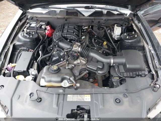 1ZVBP8AM2E5206982 Ford Mustang V6