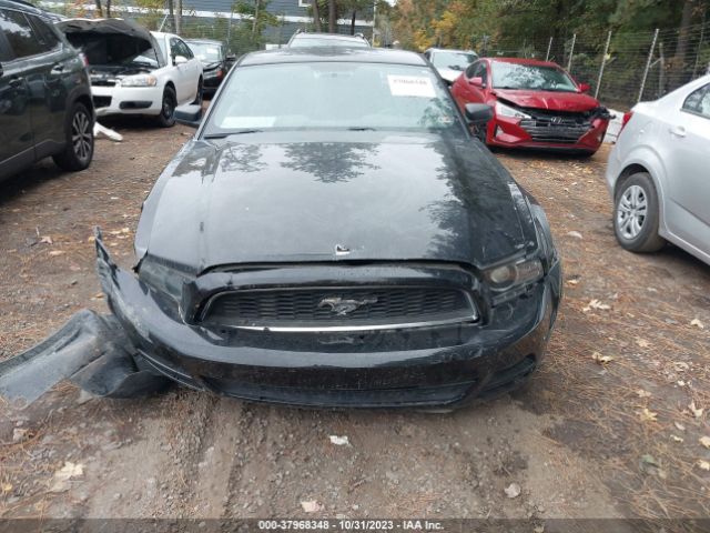 1ZVBP8AM2E5206982 Ford Mustang V6