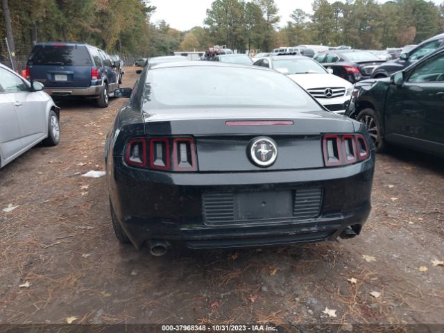 1ZVBP8AM2E5206982 Ford Mustang V6