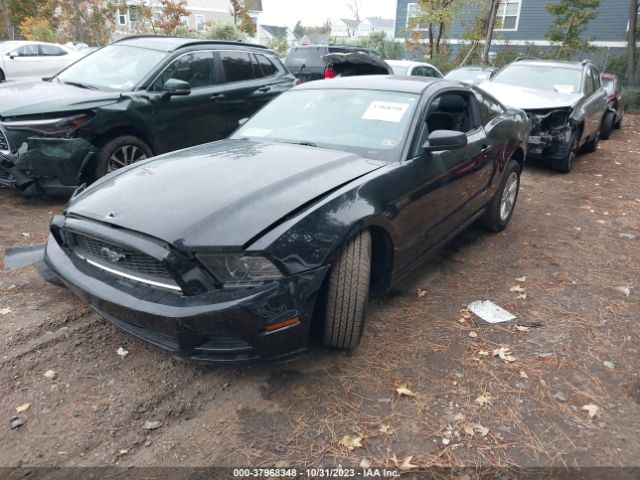 1ZVBP8AM2E5206982 Ford Mustang V6
