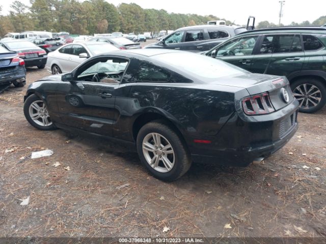 1ZVBP8AM2E5206982 Ford Mustang V6