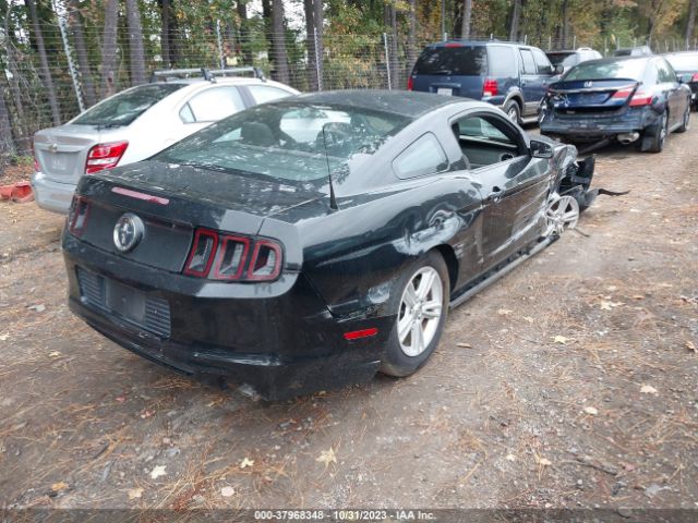 1ZVBP8AM2E5206982 Ford Mustang V6
