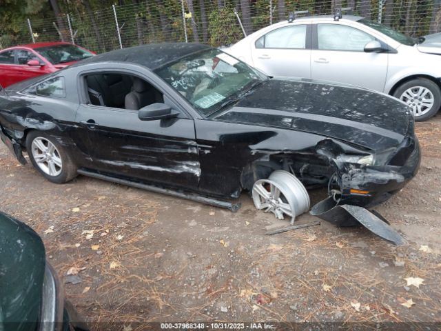 1ZVBP8AM2E5206982 Ford Mustang V6