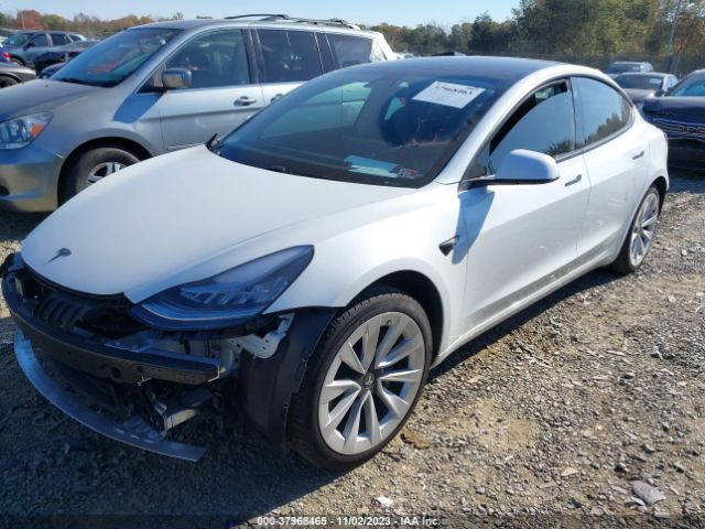 2021 TESLA MODEL 3 5YJ3E1EB8MF855681 Photo 1
