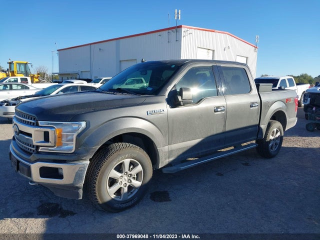 Ford F-150 Xlt 2019 1FTEW1E42KKE34482 Image 2