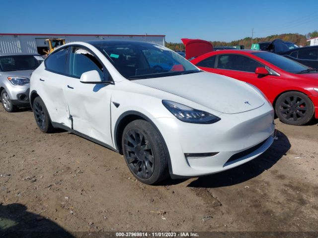 2021 TESLA MODEL Y 5YJYGAEE4MF208866