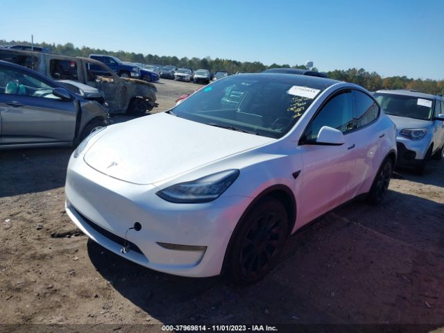 2021 TESLA MODEL Y 5YJYGAEE4MF208866 Photo 1