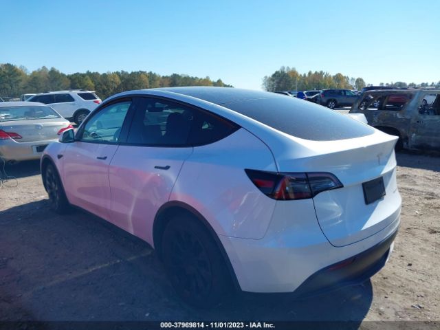 2021 TESLA MODEL Y 5YJYGAEE4MF208866 Photo 2