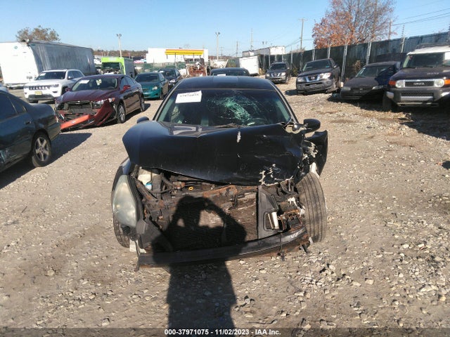 2007 NISSAN MAXIMA 3.5 SL VIN: 1N4BA41E77C844784
