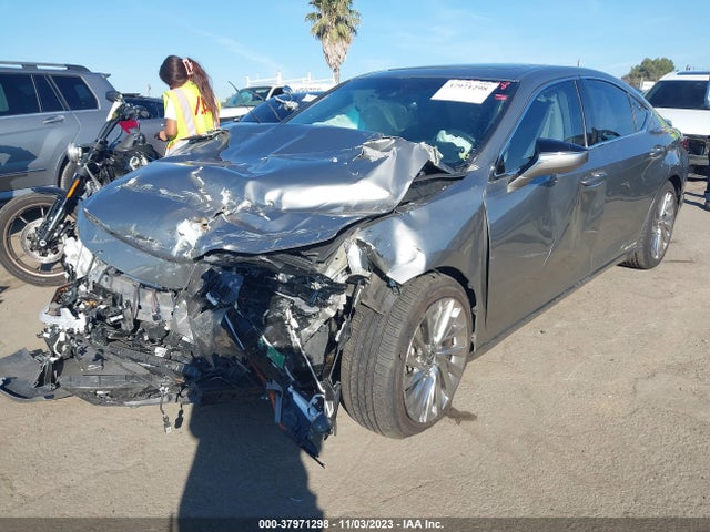 2021 LEXUS ES 300H LUXURY VIN: 58AEA1C19MU011661