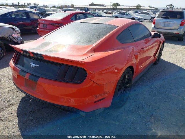 Ford Mustang Ecoboost 2015 1FA6P8TH5F5339442 Image 4