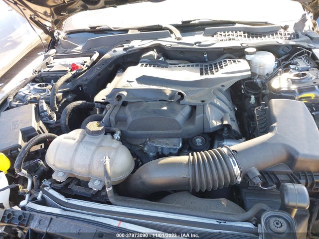 Ford Mustang Ecoboost 2019 1FA6P8TH5K5199645 Image 10
