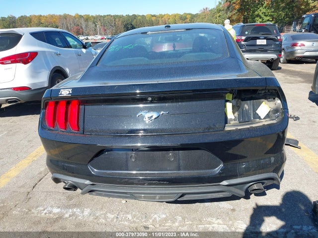 Ford Mustang Ecoboost 2019 1FA6P8TH5K5199645 Image 16