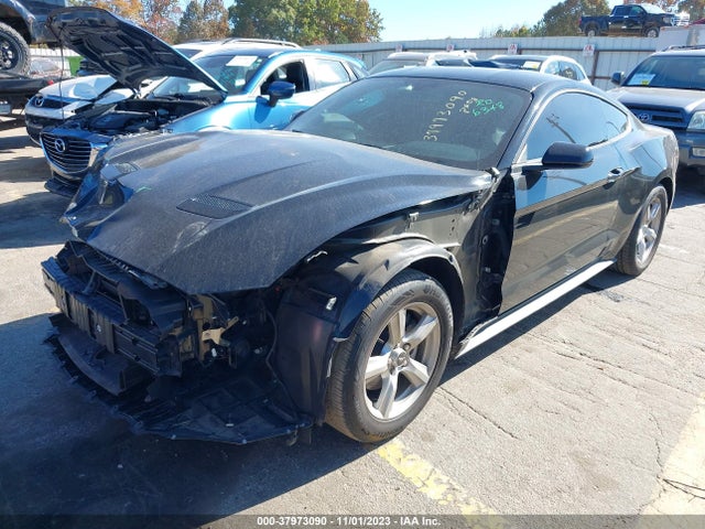 Ford Mustang Ecoboost 2019 1FA6P8TH5K5199645 Image 2