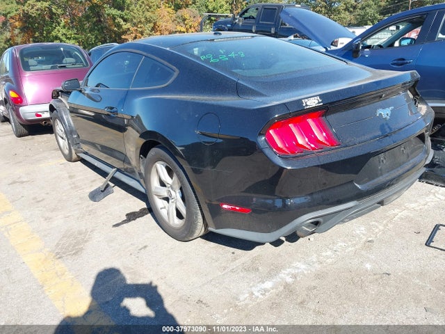 Ford Mustang Ecoboost 2019 1FA6P8TH5K5199645 Image 3