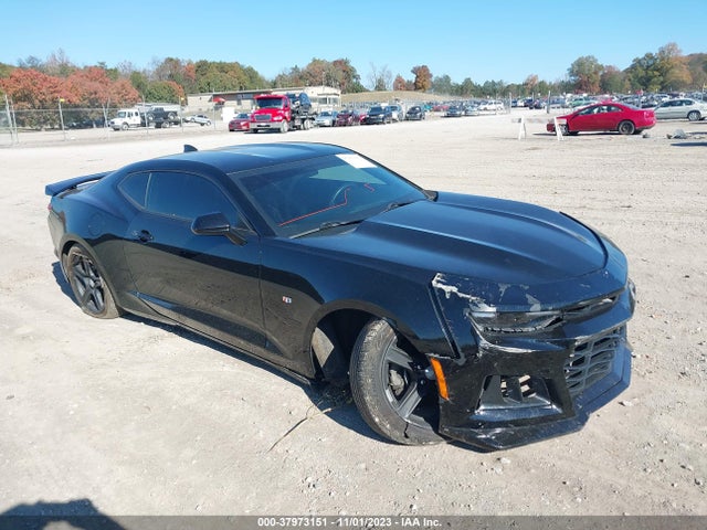 2019 1G1FB1RS1K0114289 main image