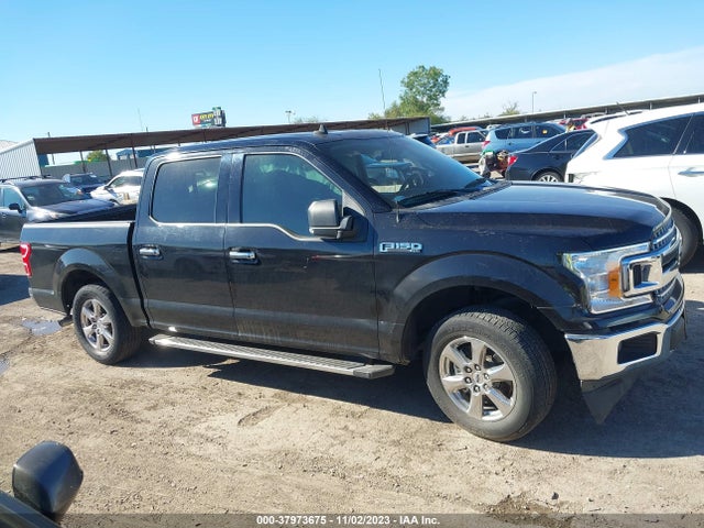 Ford F-150 Xlt 2019 1FTEW1CP7KKE90284 Image 12