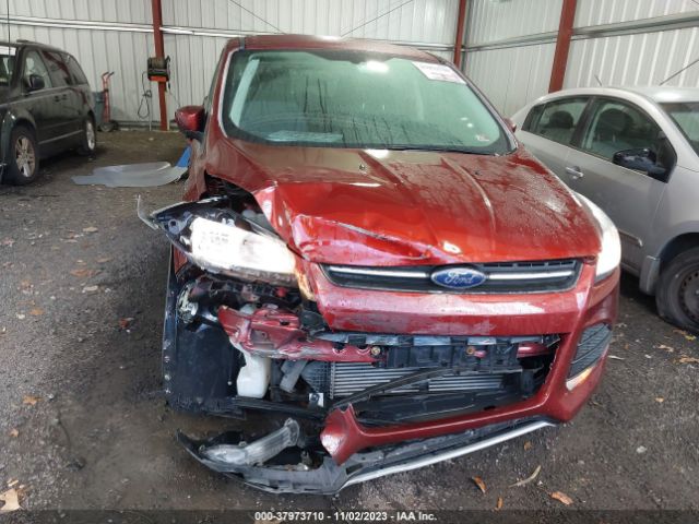 1FMCU0GX1EUC93567 Ford ESCAPE SE