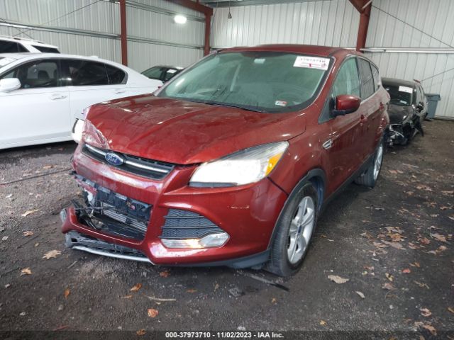 1FMCU0GX1EUC93567 Ford ESCAPE SE
