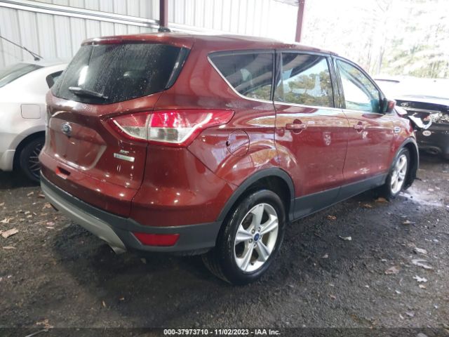 1FMCU0GX1EUC93567 Ford ESCAPE SE