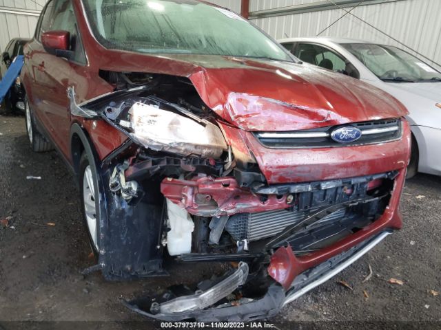 1FMCU0GX1EUC93567 Ford ESCAPE SE